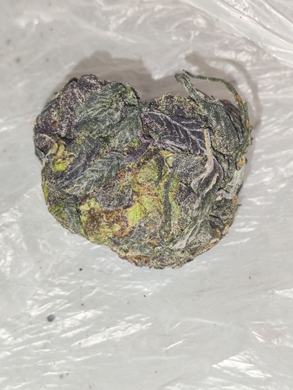 მოსაწევი